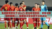 亚足联世界杯下注入口-亚足联世界杯，激情与智慧的碰撞——探索合法安全的下注新途径