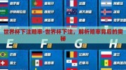 世界杯下注赔率-世界杯下注，解析赔率背后的奥秘