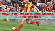 世界杯下注盘口-世界杯足球，理性与激情的博弈——下注盘口的深度剖析