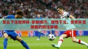 怎么下注世界杯-掌握技巧，理性下注，世界杯足球赛的投注策略