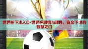 世界杯下注入口-世界杯激情与理性，安全下注的智慧之门