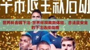 世界杯去哪下注-世界杯观赛新体验，合法且安全的下注选择指南
