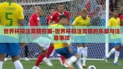 世界杯投注竞猜在哪-世界杯投注竞猜的乐趣与注意事项
