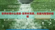 世界杯用什么竞猜-世界杯竞猜，乐趣与智慧的碰撞