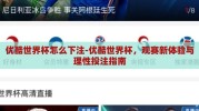 优酷世界杯怎么下注-优酷世界杯，观赛新体验与理性投注指南