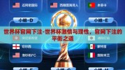 世界杯官网下注-世界杯激情与理性，官网下注的平衡之道
