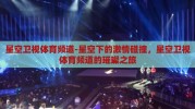 星空卫视体育频道-星空下的激情碰撞，星空卫视体育频道的璀璨之旅