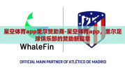 星空体育app里尔赞助商-星空体育app，里尔足球俱乐部的赞助新篇章