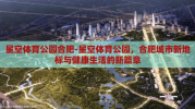 星空体育公园合肥-星空体育公园，合肥城市新地标与健康生活的新篇章