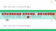 世界杯竞猜的链接-世界杯竞猜，激情与智慧的碰撞