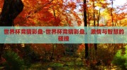 世界杯竞猜彩盘-世界杯竞猜彩盘，激情与智慧的碰撞