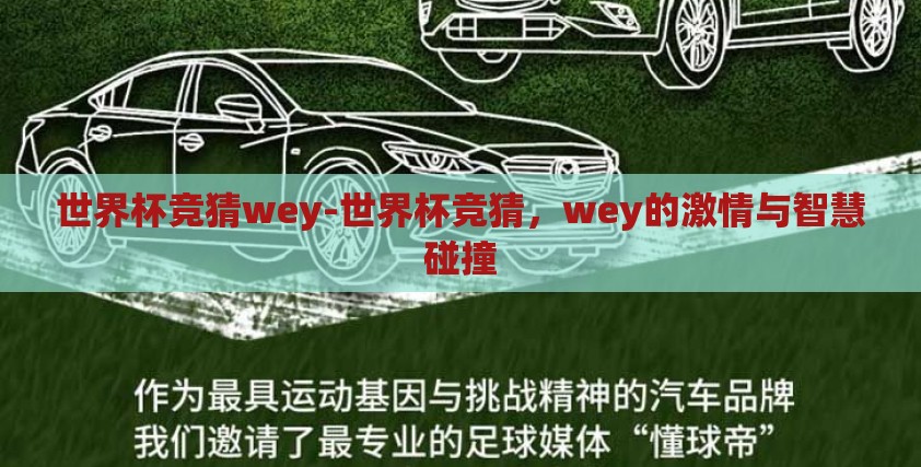 世界杯竞猜wey-世界杯竞猜,wey的激情与智慧碰撞 世界杯竞猜wey-世界杯竞猜,wey的激情与智慧碰撞