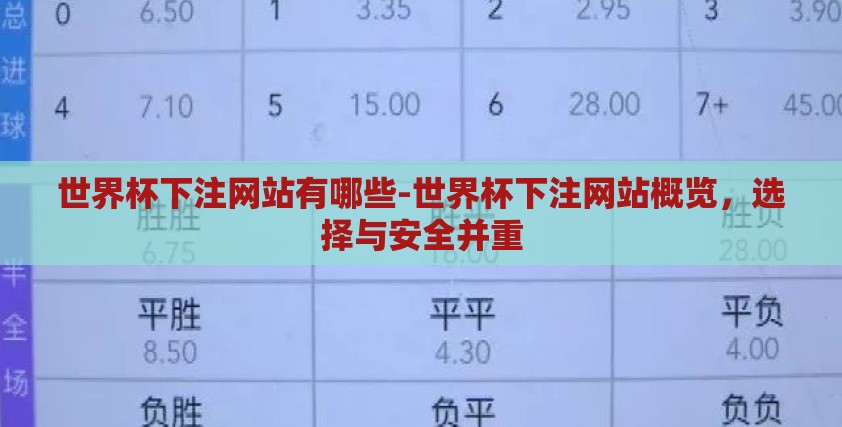 世界杯下注网站有哪些-世界杯下注网站概览,选择与安全并重 世界杯下注网站有哪些-世界杯下注网站概览,选择与安全并重