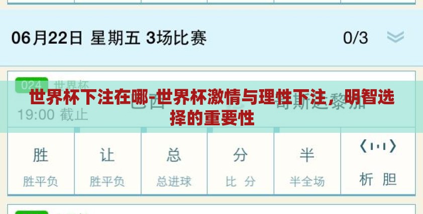 世界杯下注在哪-世界杯激情与理性下注,明智选择的重要性 世界杯下注在哪-世界杯激情与理性下注,明智选择的重要性