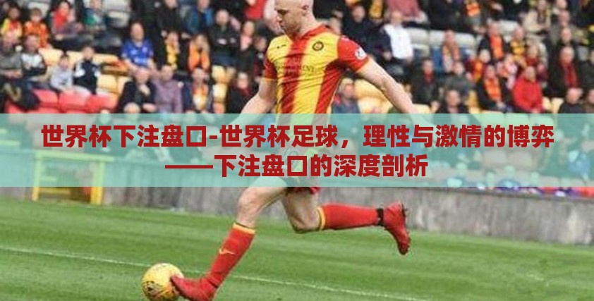 世界杯下注盘口-世界杯足球，理性与激情的博弈——下注盘口的深度剖析