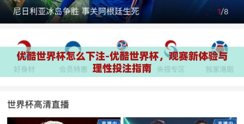 优酷世界杯怎么下注-优酷世界杯，观赛新体验与理性投注指南