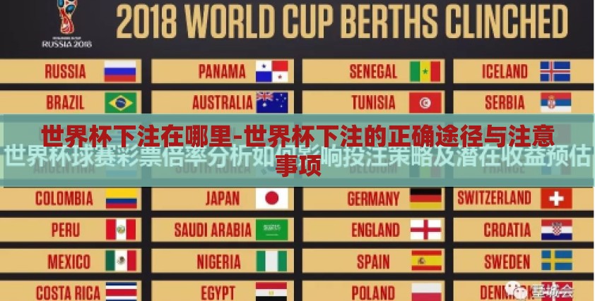 世界杯下注在哪里-世界杯下注的正确途径与注意事项