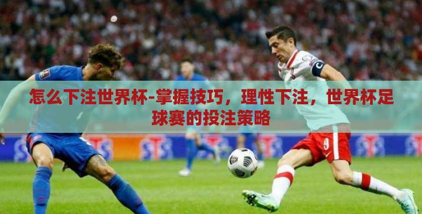怎么下注世界杯-掌握技巧，理性下注，世界杯足球赛的投注策略