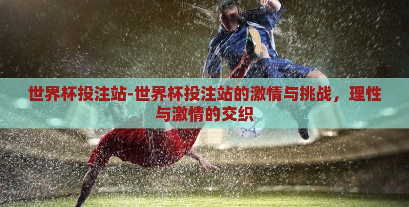 足球世界杯竞猜彩票-足球世界杯，竞猜彩票的激情与挑战