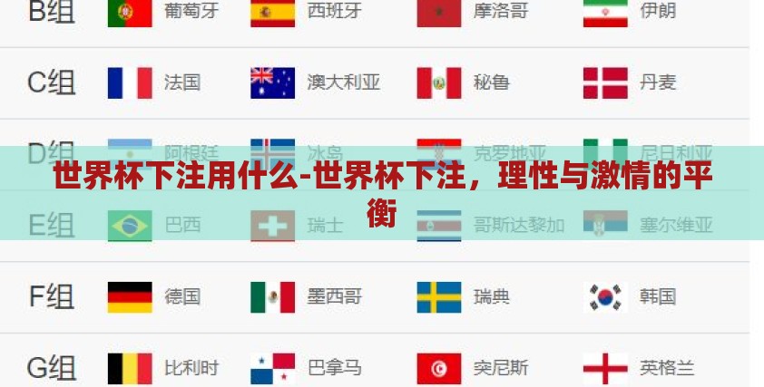 世界杯下注用什么-世界杯下注，理性与激情的平衡