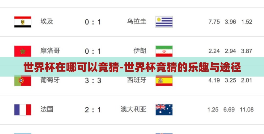 世界杯在哪可以竞猜-世界杯竞猜的乐趣与途径