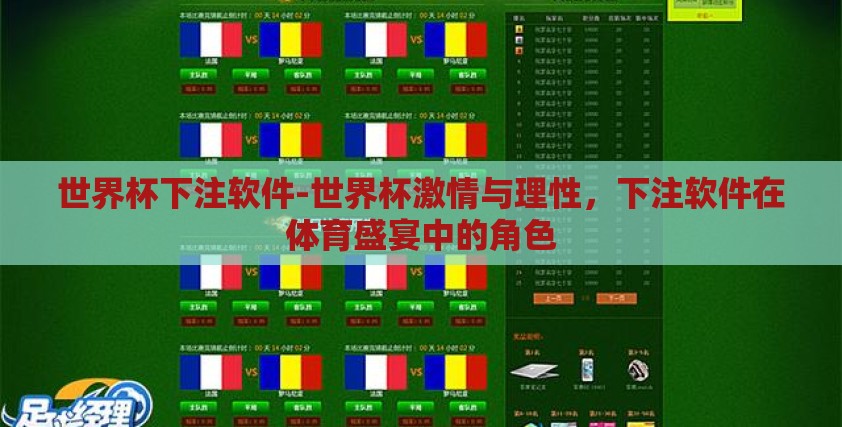 世界杯下注软件-世界杯激情与理性，下注软件在体育盛宴中的角色