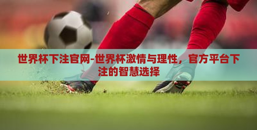 世界杯下注官网-世界杯激情与理性,官方平台下注的智慧选择 世界杯下注官网-世界杯激情与理性,官方平台下注的智慧选择