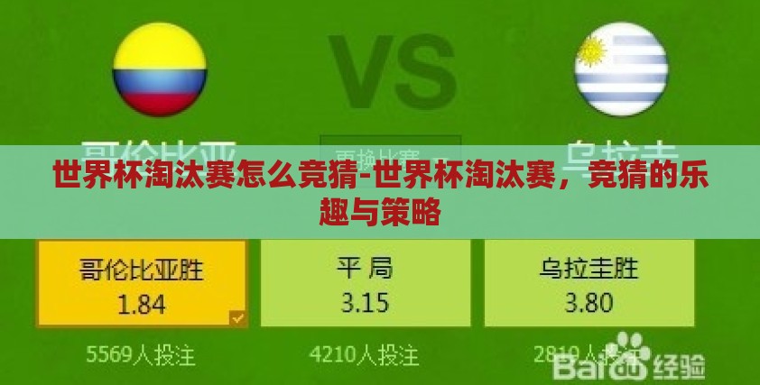 世界杯淘汰赛怎么竞猜-世界杯淘汰赛，竞猜的乐趣与策略