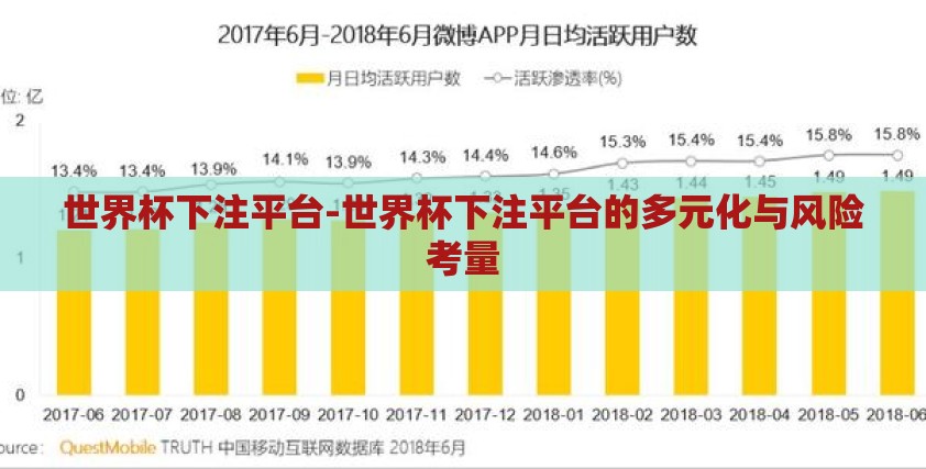 世界杯下注平台-世界杯下注平台的多元化与风险考量