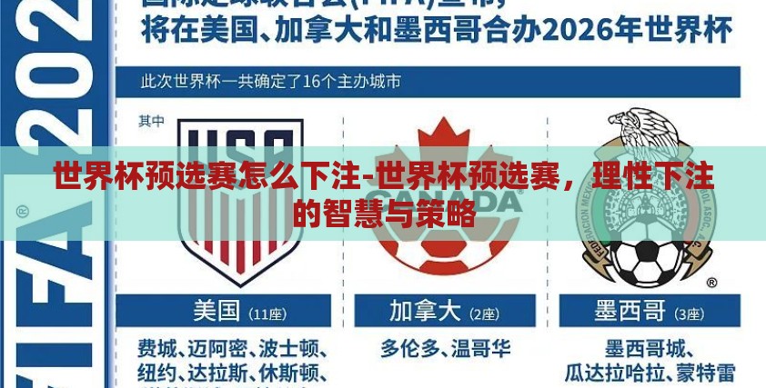 世界杯预选赛怎么下注-世界杯预选赛，理性下注的智慧与策略