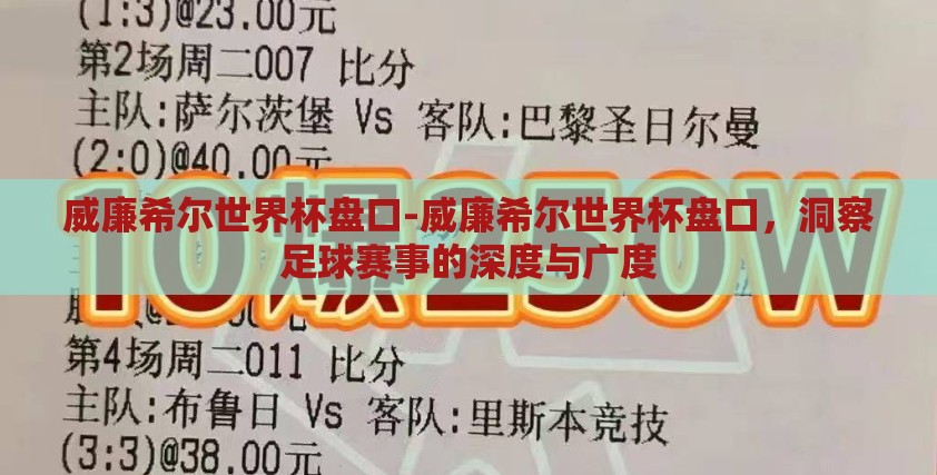 威廉希尔世界杯盘口-威廉希尔世界杯盘口，洞察足球赛事的深度与广度