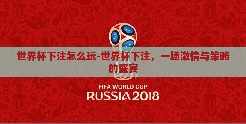 世界杯下注怎么玩-世界杯下注，一场激情与策略的盛宴