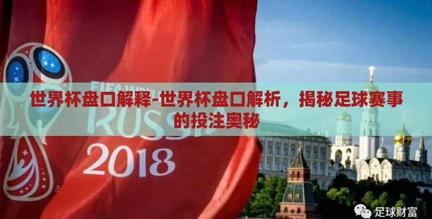 世界杯盘口解释-世界杯盘口解析，揭秘足球赛事的投注奥秘