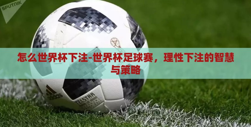 怎么世界杯下注-世界杯足球赛,理性下注的智慧与策略 怎么世界杯下注-世界杯足球赛,理性下注的智慧与策略