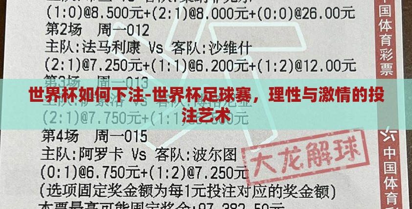 世界杯如何下注-世界杯足球赛，理性与激情的投注艺术