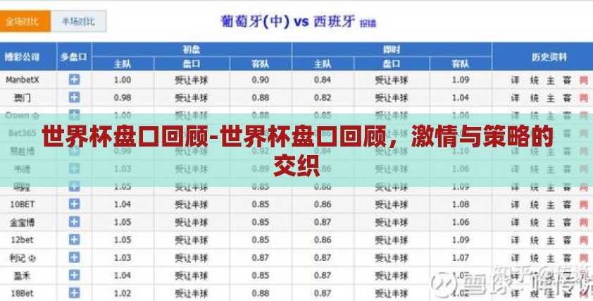 世界杯盘口回顾-世界杯盘口回顾，激情与策略的交织