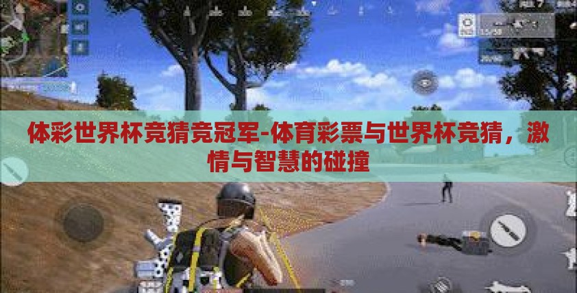 体彩世界杯竞猜竞冠军-体育彩票与世界杯竞猜,激情与智慧的碰撞 体彩世界杯竞猜竞冠军-体育彩票与世界杯竞猜,激情与智慧的碰撞