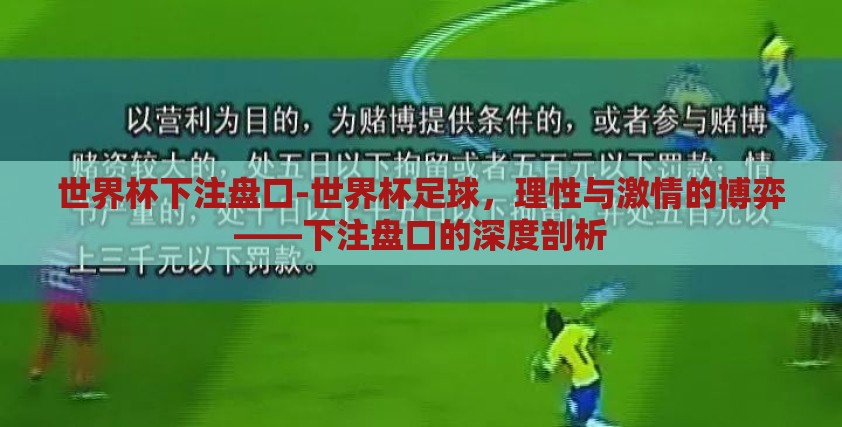 世界杯下注盘口-世界杯足球，理性与激情的博弈——下注盘口的深度剖析