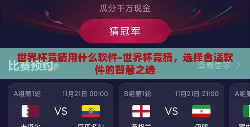 世界杯竞猜用什么软件-世界杯竞猜，选择合适软件的智慧之选
