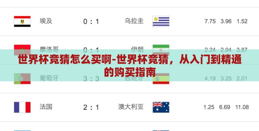 世界杯竞猜怎么买啊-世界杯竞猜，从入门到精通的购买指南
