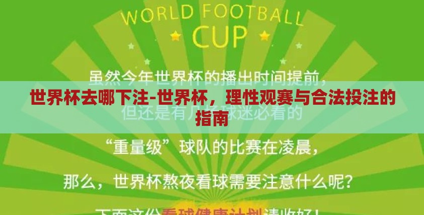世界杯去哪下注-世界杯，理性观赛与合法投注的指南