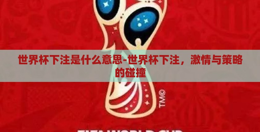 世界杯下注是什么意思-世界杯下注，激情与策略的碰撞