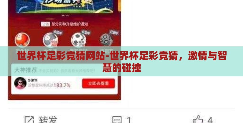 世界杯足彩竞猜网站-世界杯足彩竞猜，激情与智慧的碰撞