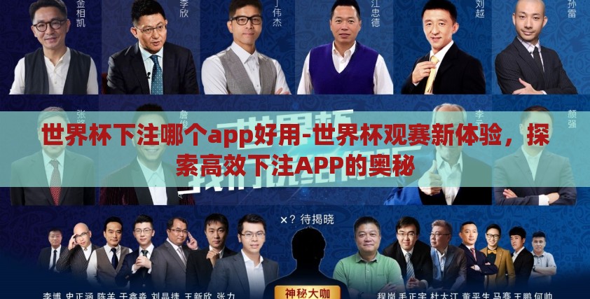 世界杯下注哪个app好用-世界杯观赛新体验，探索高效下注APP的奥秘