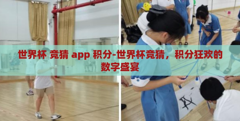 世界杯 竞猜 app 积分-世界杯竞猜，积分狂欢的数字盛宴