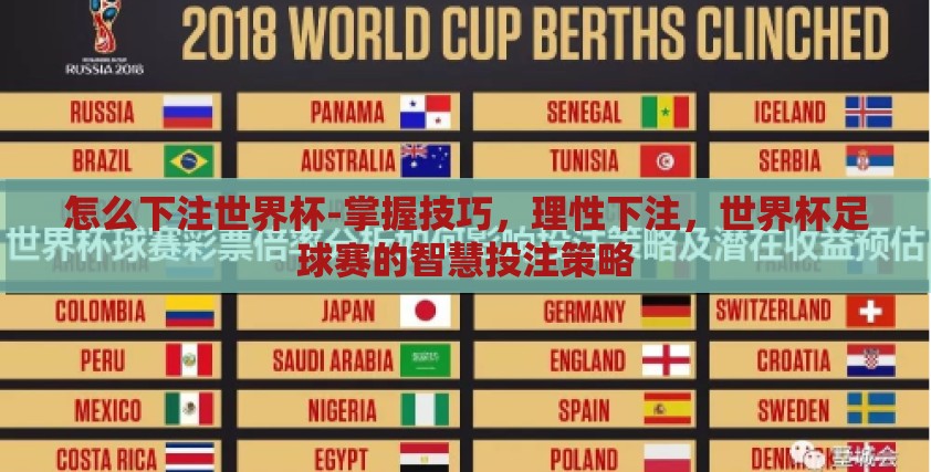怎么下注世界杯-掌握技巧，理性下注，世界杯足球赛的智慧投注策略
