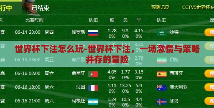 世界杯下注怎么玩-世界杯下注，一场激情与策略并存的冒险