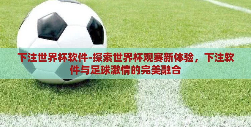 下注世界杯软件-探索世界杯观赛新体验，下注软件与足球激情的完美融合