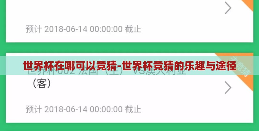 世界杯在哪可以竞猜-世界杯竞猜的乐趣与途径