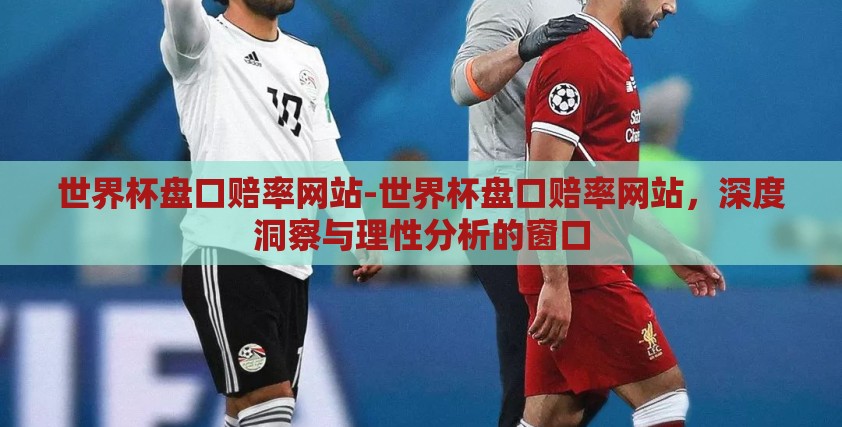 世界杯盘口赔率网站-世界杯盘口赔率网站，深度洞察与理性分析的窗口